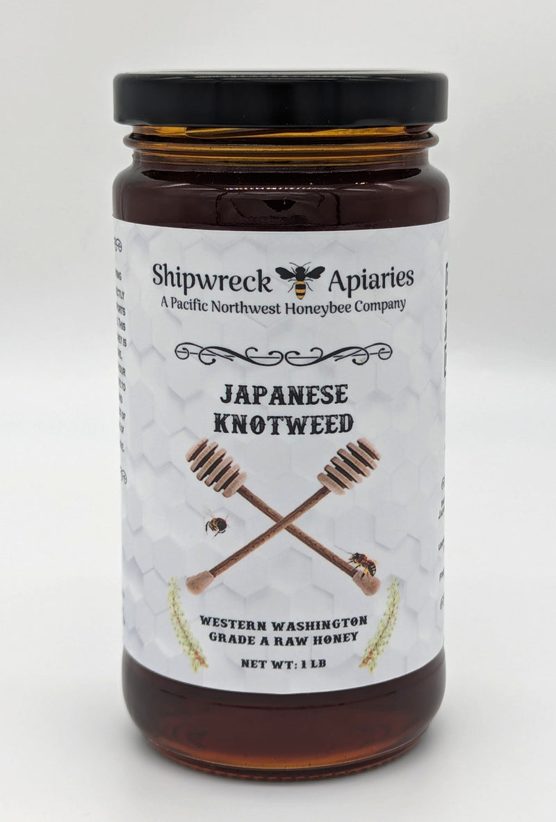 Japanese Knotweed Honey - 1 lb Jar